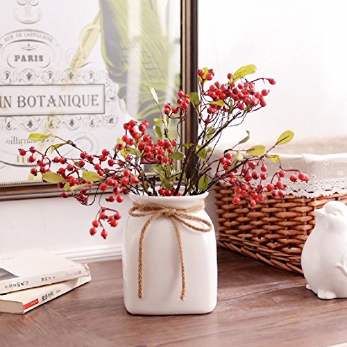 ForuMall Vase en céramique blanc avec nœud en chanvre - Décoration florale - Cadeau créatif (S) Cover