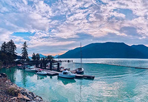 Enovoe Jigsaw Puzzles 1000 Pieces for Adults - an Evening in Vancouver - Large, 29\" x 20\", 1000 Piece Puzzle