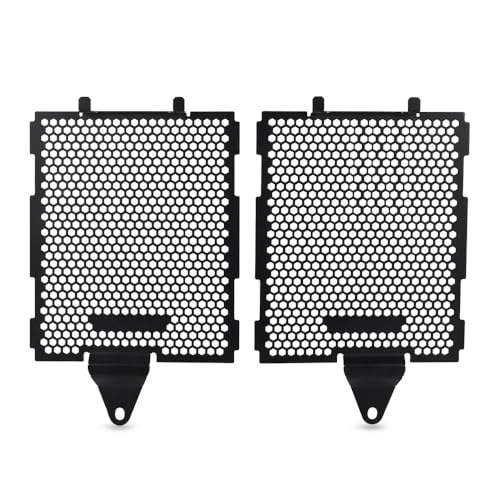 Grille phare et calandre radiateur pour R1300GS et R1300 ADV 2023-2025