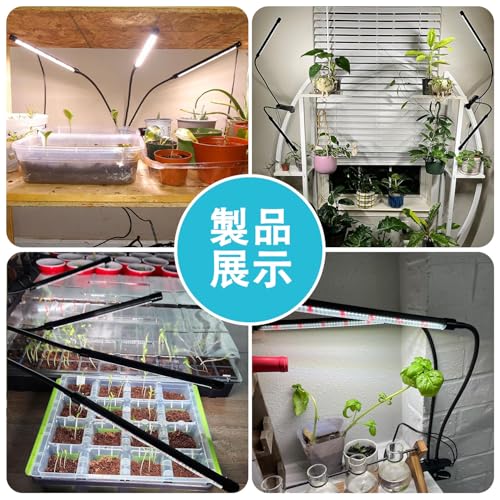 Hywyimlait クリップ式植物育成ライト 屋内植物用 126LED フルスペクトル 赤白光 植物育成ランプ フレキシブルグースネック 4/8/12時間タイマー付き 3つのスペクトルモード 10段階調光可能 3つのヘッド HYJAJZZWL-RW-42-03 の商品画像 7