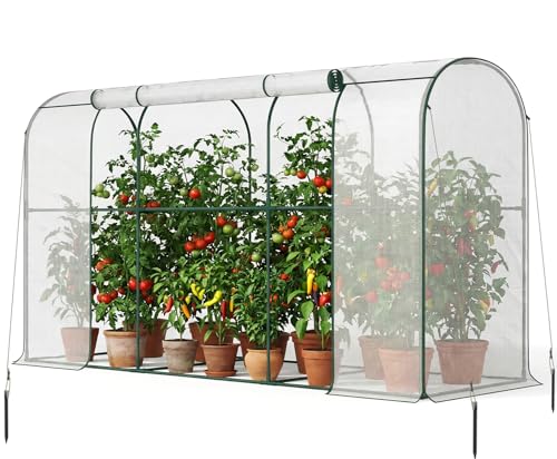 SUNYRISY Tomaten Gewächshaus Klein Foliengewächshaus 300x100x170 cm Tomatenhaus Tomatenzelt mit Tomatendach Greenhouse mit Rollentür und Windschutzseil für Balkon Outdoor Bogen Weiß