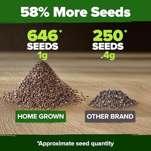 HOME GROWN White Sage Seeds 646 Pack Heirloom Seeds - Grow Aromatic Sage Plants for Your Herb Seeds Garden with Sage for Planting Outdoor or Indoor (Salvia apiana) - Image 3