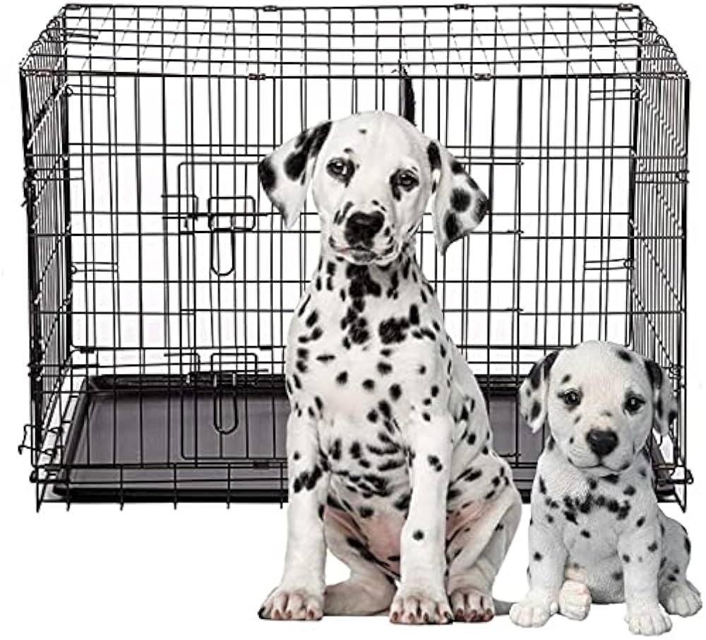 Petco Brand EveryYay Essentials 2Door Folding Dog Crate, LX WX H