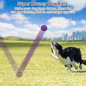 Dog balls indestructible dog ball dog balls for aggressive chewers tennis balls for dogs puppy toys interactive ball for dogs dog chew toys fetch ball for small medium large dogs 1pc   cucciolini doodles