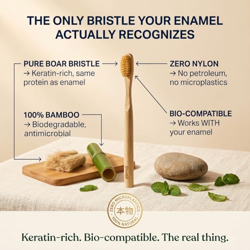 Dento 4-Pack Boar Bristle & Bamboo Toothbrushes - Premium Boar Bristles W/Keratin for Polish - Fully Biodegradable - Nylon & Plastic Free Toothbrush - Quick Dry Design — view 2