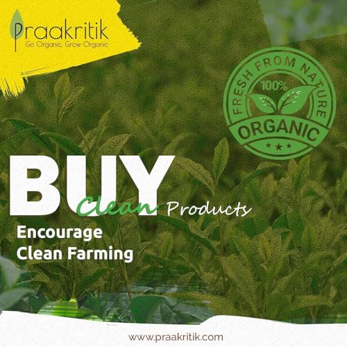 Image of Praakritik Cold Pressed Sunflower Oil 1L, Cold Pressed, Pure & Natural, Zero Chemicals, Ideal for Cooking & Frying, Unrefined & Preservative-Free (Pack of 2)