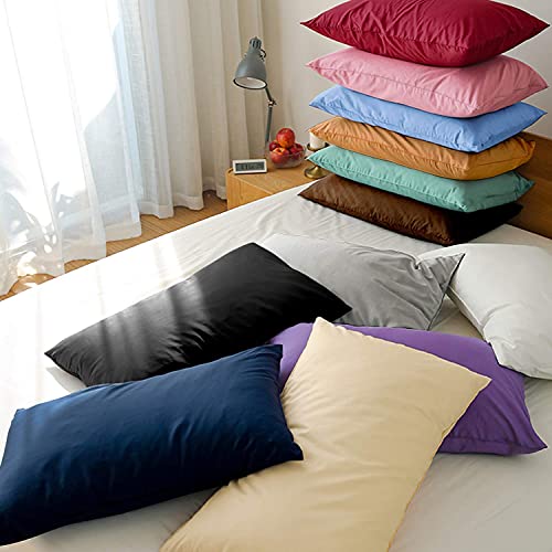 FLXXIE 2 Pack Microfiber King Pillow Cases, 1800 Super Soft Pillowcases with Envelope Closure, Wrinkle, Fade and Stain Resistant Pillow Covers, 20x36, Sky Blue