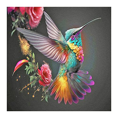 Stalente Diamond Painting Kits for Adults 5D DIY Diamond Art Kits for Beginners Round Full Drill Diamond Painting for Home Wall Decoration Gift 30x30cm Hummingbird