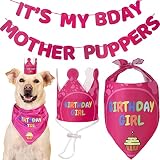 Odi Style Dog Birthday Party Supplies - Dog Birthday Bandana Set - Birthday Girl Bandana for Medium,