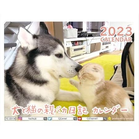 Amazon 予約販売 シベリアンハスキー犬はっちゃんと猫のじゅんちゃん 23年 卓上カレンダー Tc カレンダー 文房具 オフィス用品