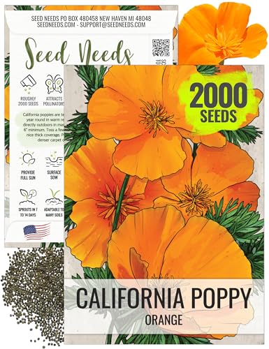 Seed Needs, California Orange Poppy Wildflower Seeds - 2,000 Heirloom Seeds for Planting...