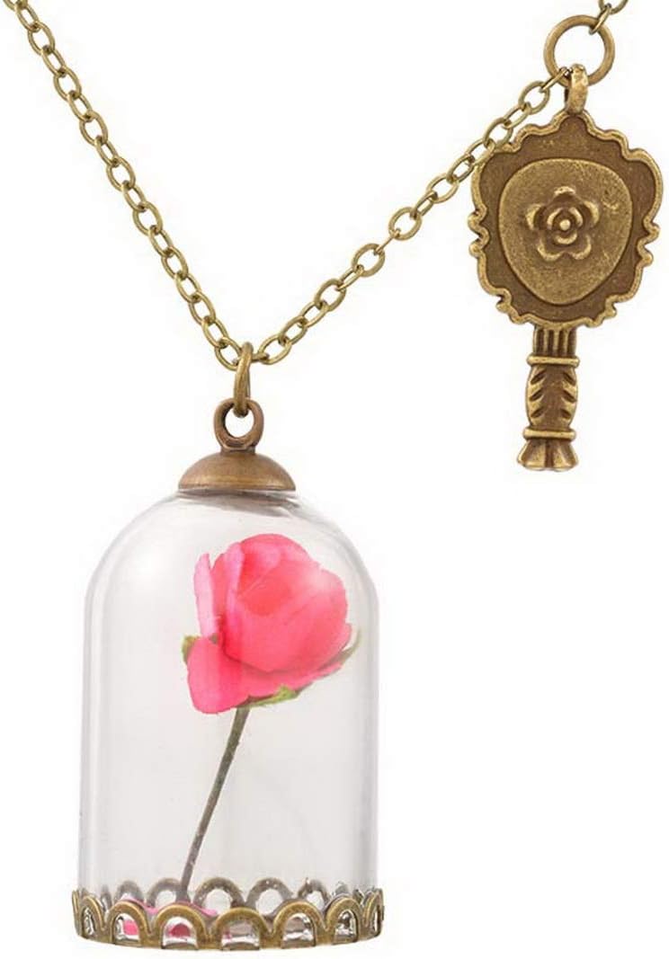 Holove Women's Elegant Dry Flower Glass Wishing Bottle Vial Necklace Pendant Chain for Girls