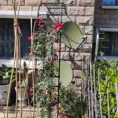 Arches de ballons et support plantes grimpantes 60x240