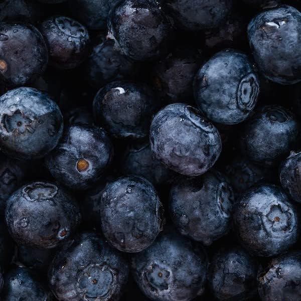 Miniatura 2 de Blueberry Plant Chandler Live a la venta (paquete de 4)  Plantas fáciles de cultivar  Planta frutal comestible para una vida sostenible  Cultiva tu