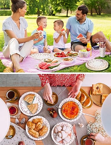 Image of Nkaiso 141Pcs Rose Gold Paper Plates and Napkins Party Supplies for20