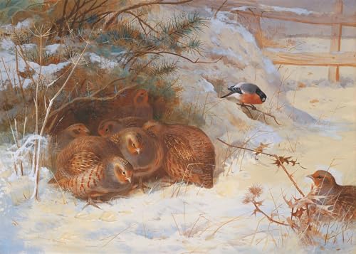 Lienzo decorativo de Archibald Thorburn ideal para dar calidez al salón, 60x90 cm