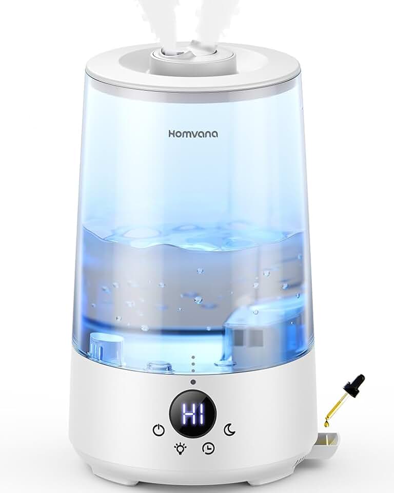 Amazon.ca: Humidifier