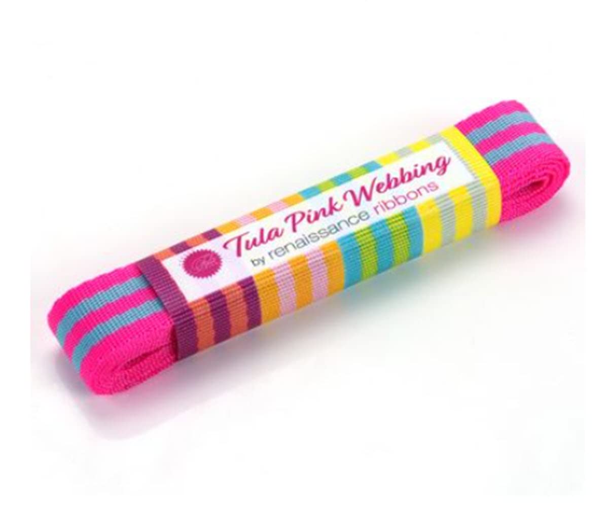 Renaissance Ribbons 2yd Aqua and Hot Pink-1in Wide-Tula Pink Webbing Ribbons, Assorted