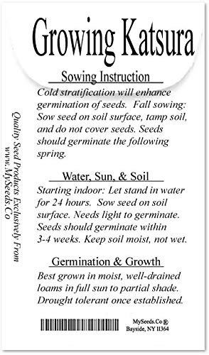 Big Pack - (2,500) Japanese Katsura Tree Seeds - Cercidiphyllum Japonicum Tree Seeds - Spectacular Gold, Orange & Red Colors - Zones 4-8 - Non-Gmo Seeds By Myseeds.co (Big Pack - Japanese Katsura) #TOP2