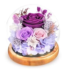 Purple Rose