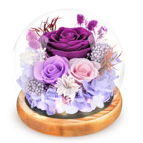 Jabeick Preserved Flowers Rose in Glass Dome with Light Forever Flowers