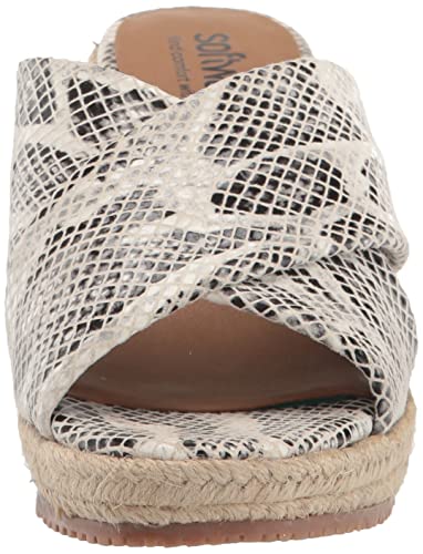 SoftWalk Women's Wedge Ballet Flat2