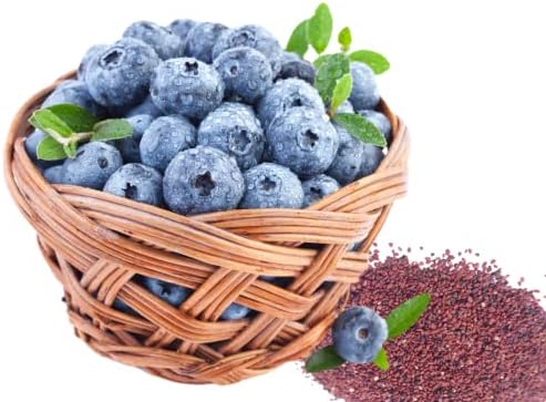 Home Grown Seeds Non GMO Blueberry Seeds, Echo (100), Red