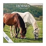 Grupo Erik Wall Calendar 2026 - Horses Calendar 2026 | Square 30 x 30 cm - 12 x 12 inches Wall Planner, Family Planner Month To View | Horse Gifts For Friends