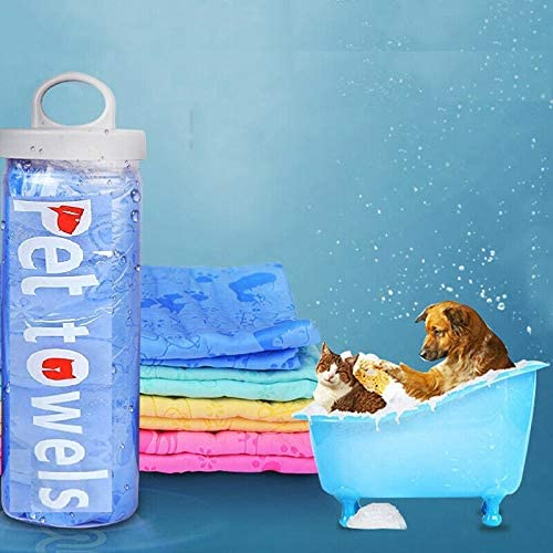 RvPaws Super Absorbent Towel for Dogs and Cats, Puppy (Colorfull) (B09L6GLMNY) Amazon Price History, Amazon Price Tracker