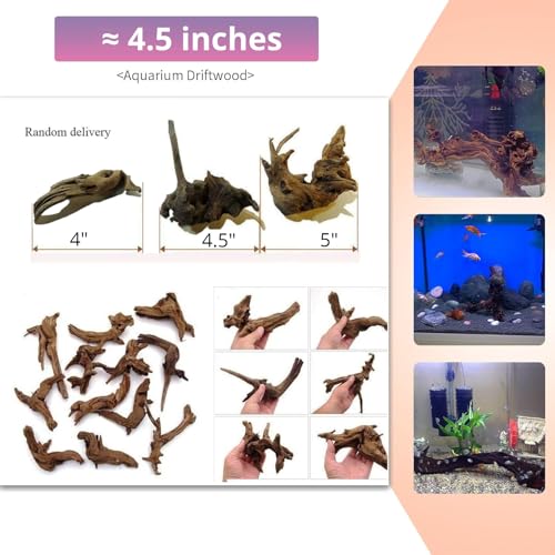 Image of Hamiledyi 12Pcs Small Driftwood for Aquarium 4.1 inch-7.2 inch Driftwood Branches Aquarium Wood Decoration Natural Fish Tank Habitat Decor Wood for Lizard Assorted Size