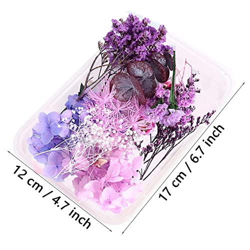 1 Scatola Fiori Pressati Misti Fai da Te, Fiori