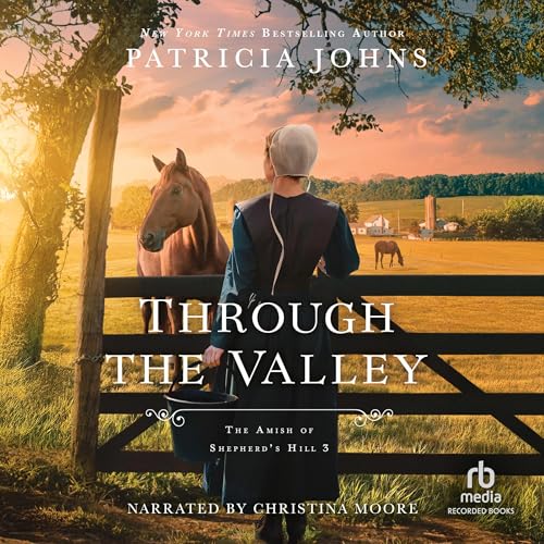 Through the Valley cover art