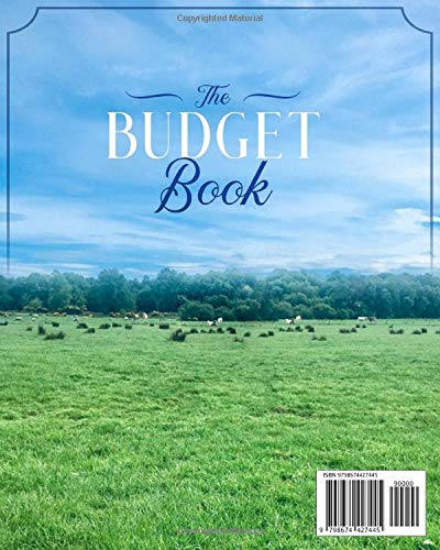 The Budget Book 2021: Start your Journey to financial freedom here, A budget doesn't imprison you but sets you free | budgeting, debt repayment, vision board, financial goal setting image 3
