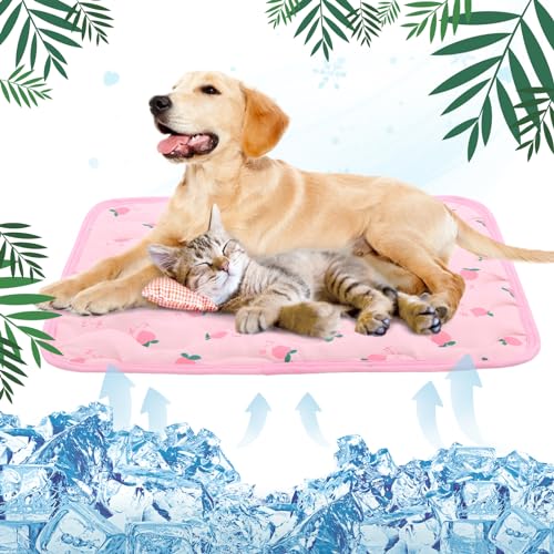 Kuoserpxbh}bg ⊴ N[}bg pV[c @􂦂  đ΍ MǑ΍ X[v AEgEGA ChA}`[X sNL 100*70cm