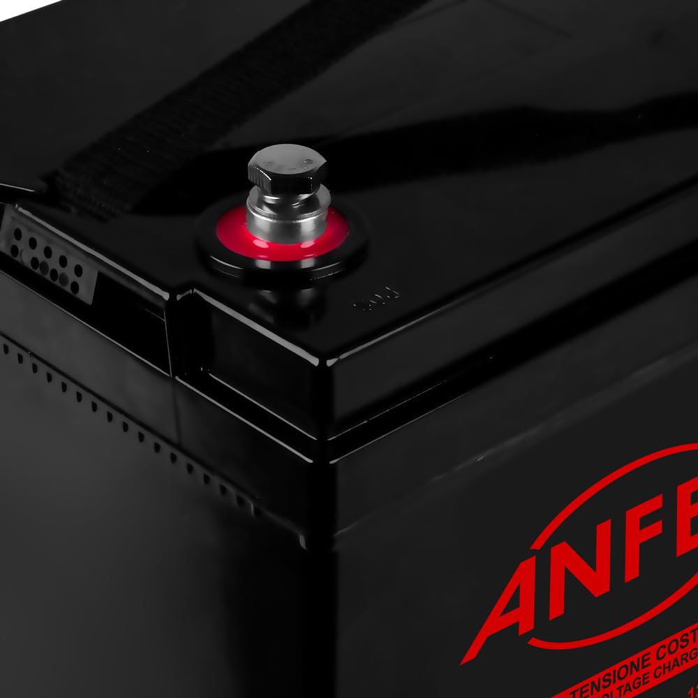 Batteria 12V 100Ah CICLICA Ricaricabile AGM Deep Cycle Solare Camper Barca Nautica UPS Sicurezza Veicoli Elettrici Impianti fotovoltaici SCARICA LENTA