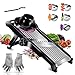 Myiosus Affettatrice Mandolino Regolabile, Multifunzione Affettatrice per Verdure in Acciaio Inox, 3 in 1 Affettatrice Professionale per Cibo, Frutta e Verdura, con Guanti e Spazzola