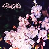  Calming Pink Noise - 37Hz HP 1.7kHz LP - Pt. 05