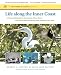 Life along the Inner Coast: A Naturalist's Guide to the Sounds, Inlets, Rivers, and Intracoastal Waterway from Norfolk to Key West