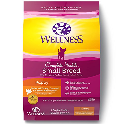 Wellness Natural Pet Food Complete Health Natural Dry Small Breed...