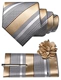 JEMYGINS Mens Champagne Striped Tie and Lapel Pin Necktie Pocket Square and Tie Clip Sets for Business Casual(15)