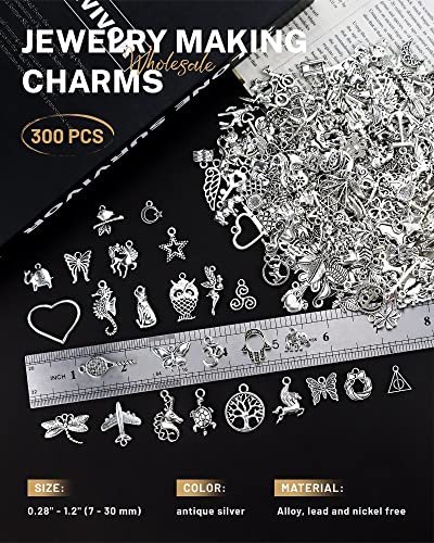 JIALEEY 300 PCS Wholesale Bulk Lots Jewelry Making Charms Mixed Smooth Tibetan Silver Alloy Charms Pendants DIY for Bracelet Necklace Jewelry Making and Crafting2