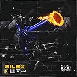 salzstein wirkung  Silex freestyle [Explicit]