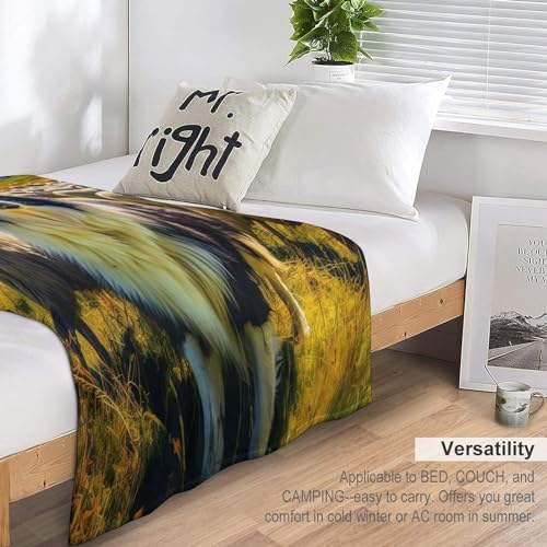 Couverture Chien Flannel Haute Qualité 180×200cm Tissu Épais et Durable - 7
