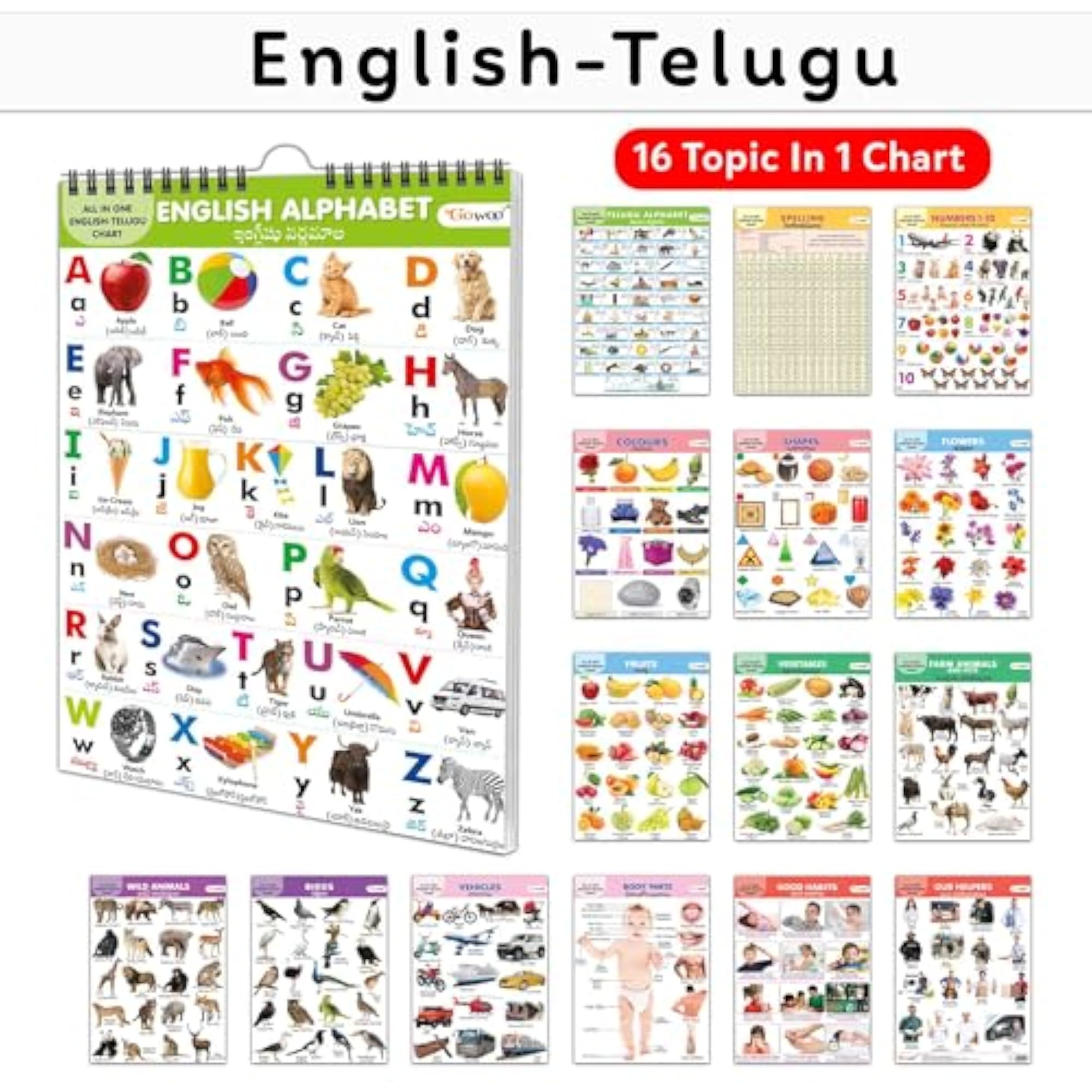 My First ALL IN ONE SPIRAL CHART ENGLISH-TELUGU