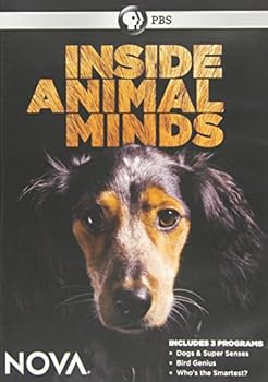 DVD Nova: Inside Animal Minds Book