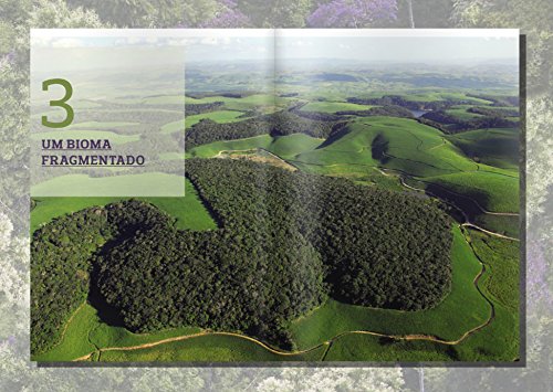 Mata Atlântica: A história de uma paisagem
