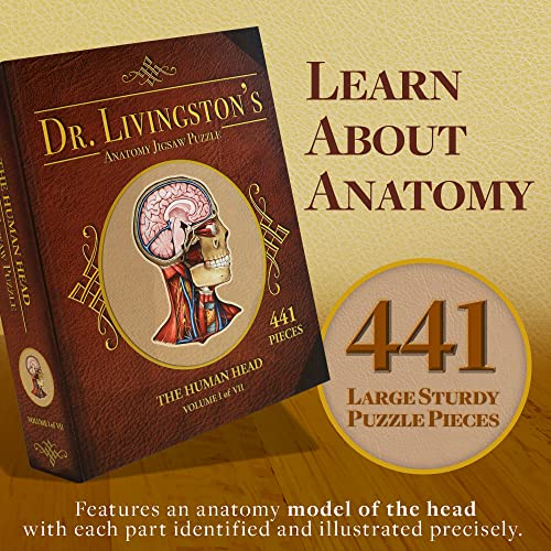 Genius Games GOT3001 Human Head Anatomy Puzzle - Adult Jigsaw Puzzles Unique Gifts thumb #1