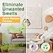 Biocide Systems Room Shocker Strong Odor Eliminator for Home & Office, Eco-Friendly Chlorine Dioxide Odor Bomb for House Interior Up to 400 Square Feet of Floor Space