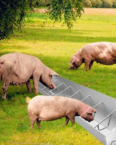 Abbeveratoio e abbeveratoio per bestiame, alimentatore esterno zincato per animali da fattoria