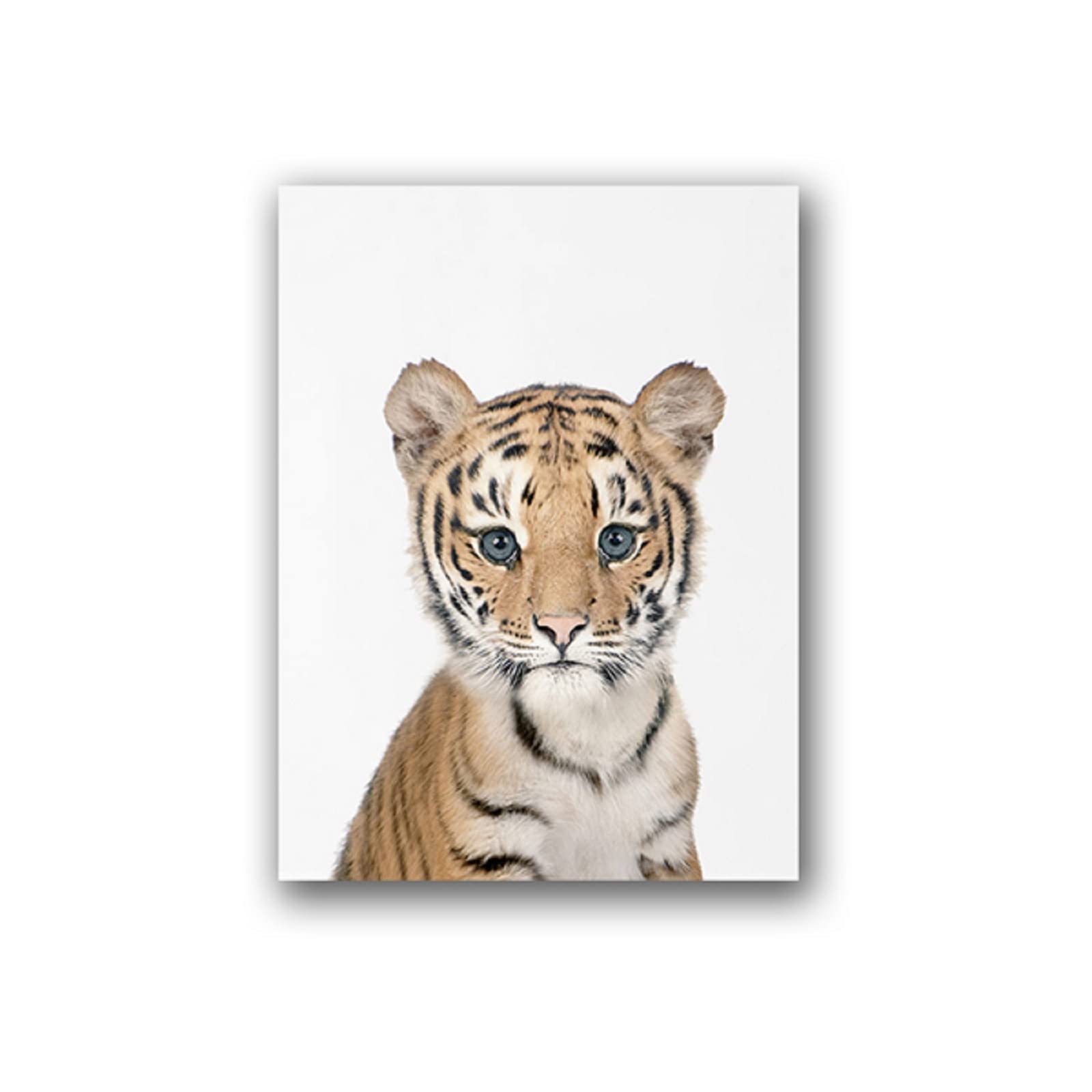 Affiche du bébé tigre endormi tigre dessin | Poster Store FR